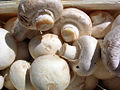 Champignons