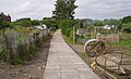 Riddrie Allotment in 2010