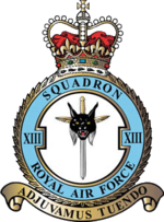 Squadron badge