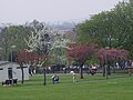 Sunny Hill Park landscape