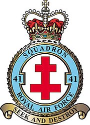 Squadron badge