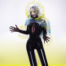 Björk - Vulnicura (Official Album Cover).png