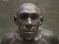 Реконструкция по методу Герасимова внешности неандертальца из грота Ла-Ферраси (45 тыс. лет)
