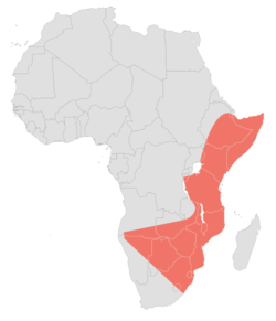 Razširjenost črne mambe v Afriki