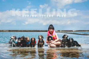 【中正區/景點】夏天絕對不能錯過的寵物友善海水泳池-Heping Island Park 和平島地質公園海水泳池