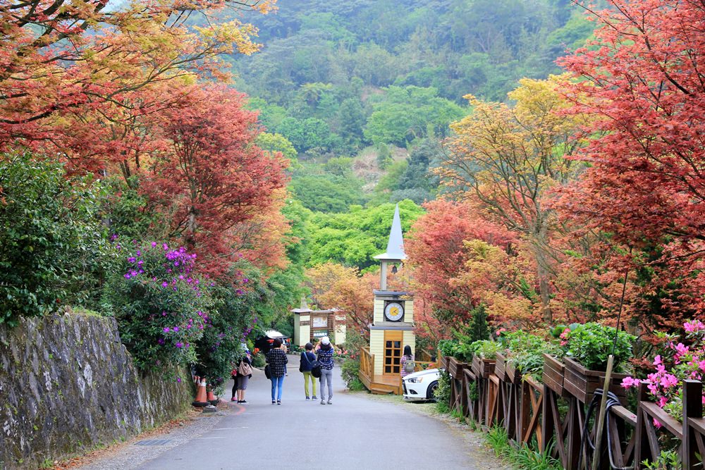 台北陽明山奧萬大樂活莊園，賞楓紅最佳景點，門票資訊介紹!!