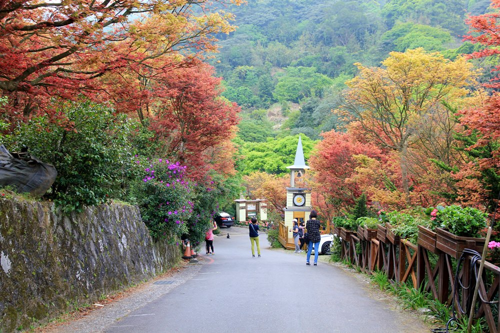 台北陽明山奧萬大樂活莊園，賞楓紅最佳景點，門票資訊介紹!!