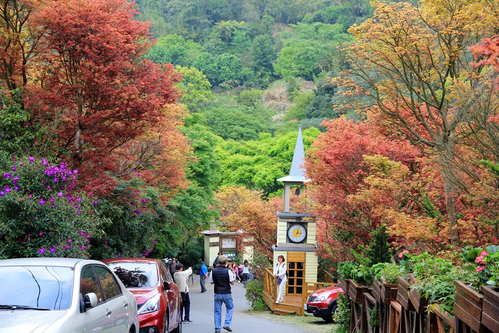 台北陽明山奧萬大樂活莊園，賞楓紅最佳景點，門票資訊介紹!!