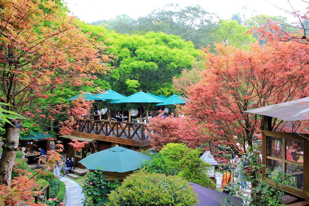 台北陽明山奧萬大樂活莊園，賞楓紅最佳景點，門票資訊介紹!!