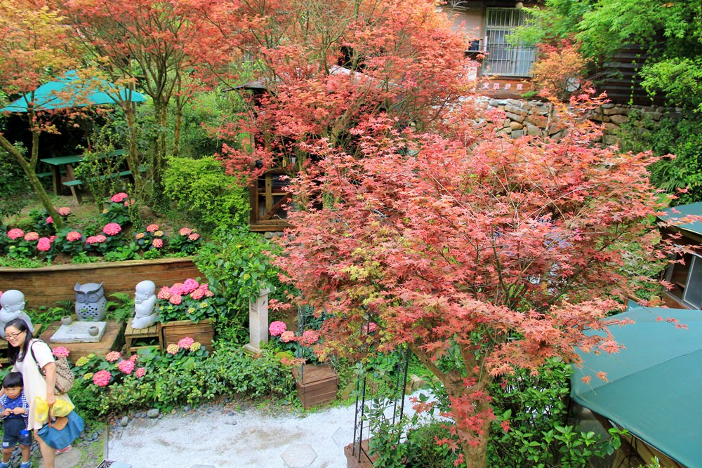 台北陽明山奧萬大樂活莊園，賞楓紅最佳景點，門票資訊介紹!!