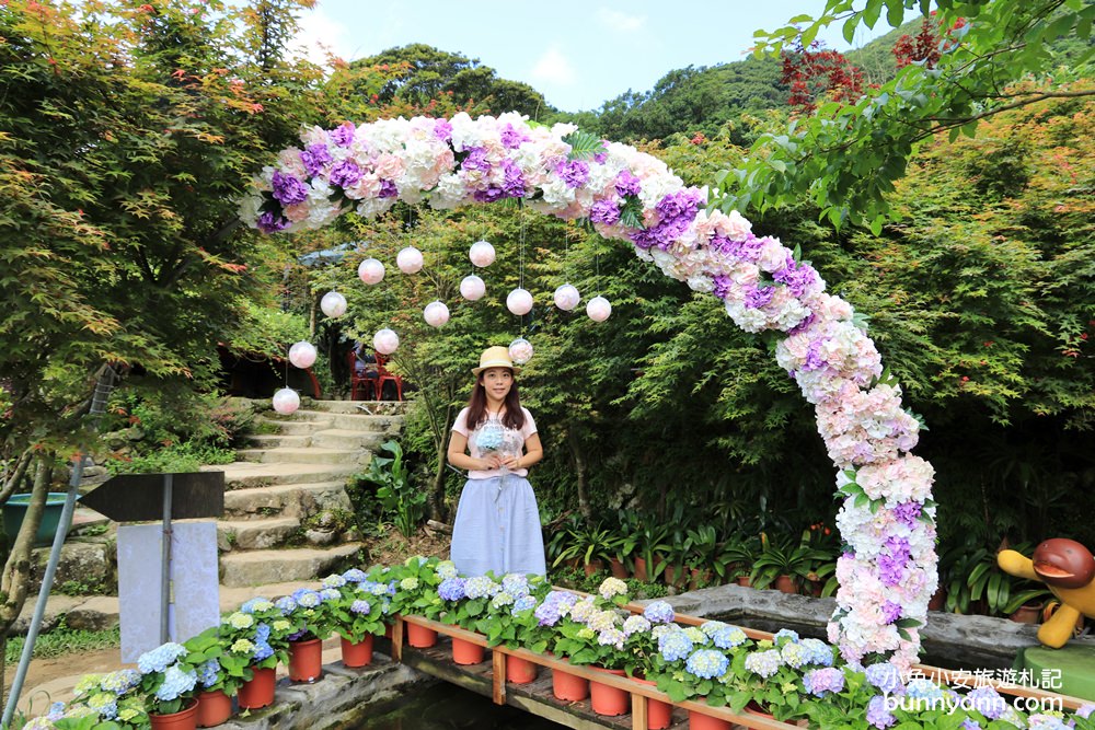 竹子湖超美「大梯田花卉生態農園」繡球花與門票優惠整理