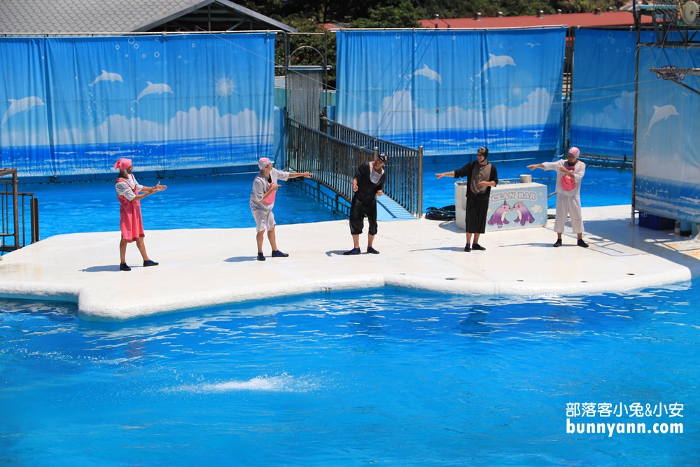 新北來跟海豚親親！野柳海洋世界/洞穴水族館(門票優惠)