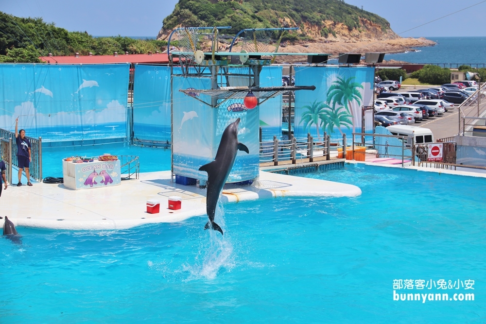 新北來跟海豚親親！野柳海洋世界/洞穴水族館(門票優惠)