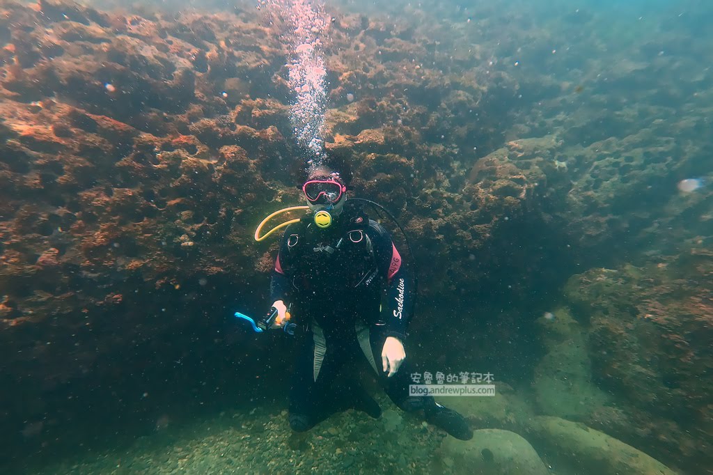 龍洞四季灣潛水,東北角潛潛,東北角體驗潛水