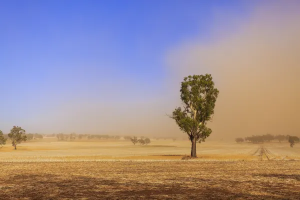 Melbourne to Tamworth Flights