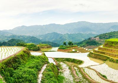 Quảng Nam