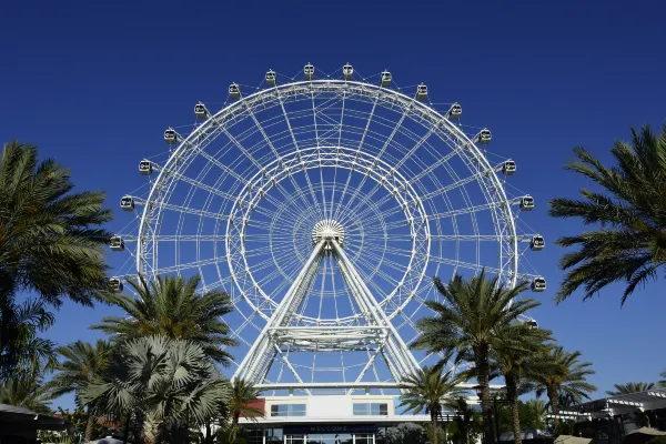 New York to Orlando Flights