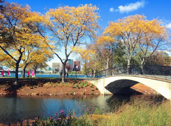 Washington D.C. to Boston Flights