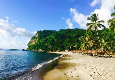 Anse Chastanet Beach