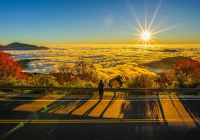 Alishan National Scenic Area