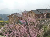 Chongyi pusu homestay