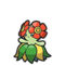 Bellossom