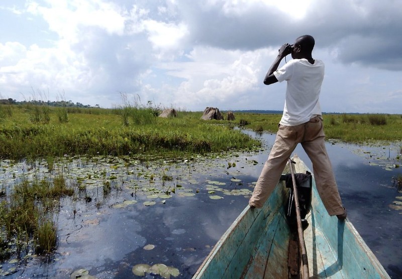 馬本巴沼澤 鳥觀行程，圖片來源：Uganda Tourism Center