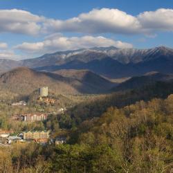 Gatlinburg 171 departamentos