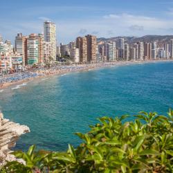 Benidorm 2379 apartments