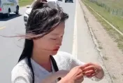 影/險成死亡直播！女主播徒步拍攝中被車撞飛　顱內出血最新近況曝