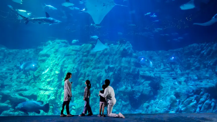 Things to do at Ocean Park Hong Kong