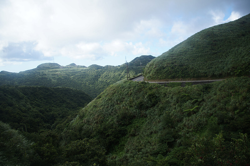 類抹茶山