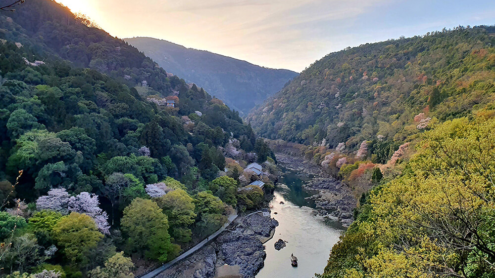 超豐富難忘的京都嵐山賞櫻之旅！