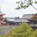 京都櫻花、岡本和服、清水寺。