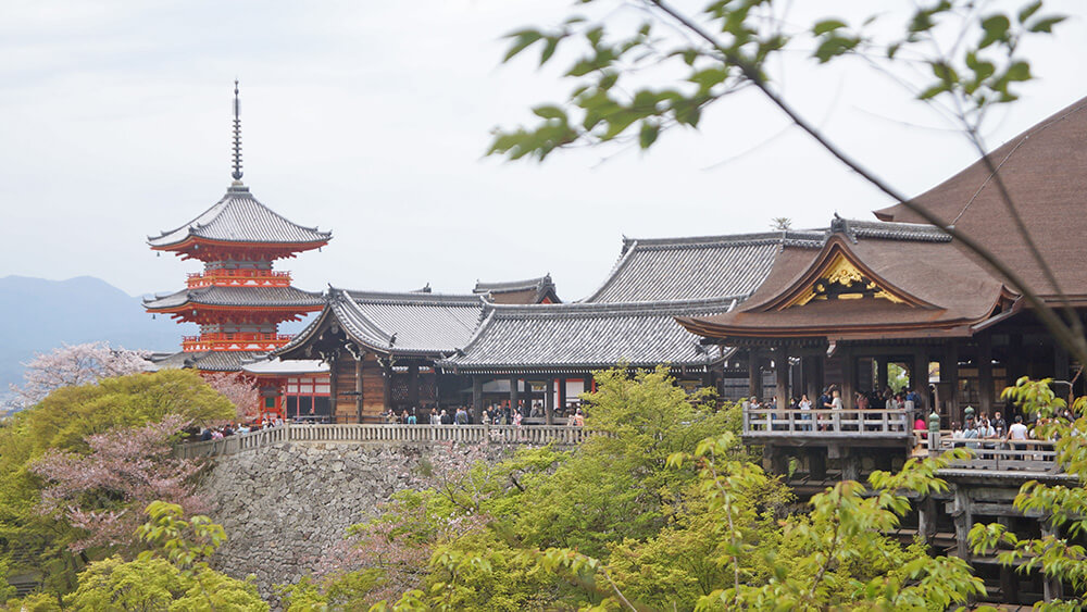 京都櫻花、岡本和服、清水寺。