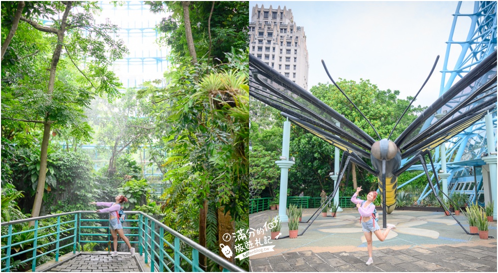 台中植物園【國立自然科學博物館植物園】台中最美熱帶雨林.巨無霸珠光鳳蝶好吸睛,城市裡的亞馬遜河!