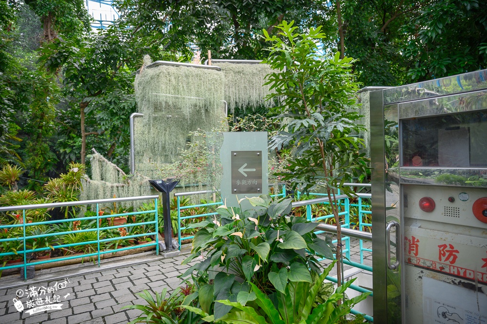 台中植物園【國立自然科學博物館植物園】台中最美熱帶雨林.巨無霸珠光鳳蝶好吸睛,城市裡的亞馬遜河!