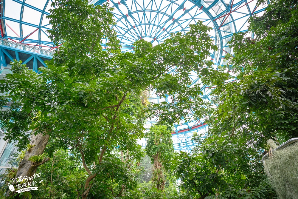 台中植物園【國立自然科學博物館植物園】台中最美熱帶雨林.巨無霸珠光鳳蝶好吸睛,城市裡的亞馬遜河!