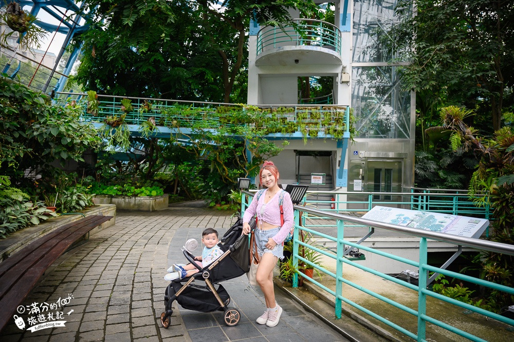 台中植物園【國立自然科學博物館植物園】台中最美熱帶雨林.巨無霸珠光鳳蝶好吸睛,城市裡的亞馬遜河!