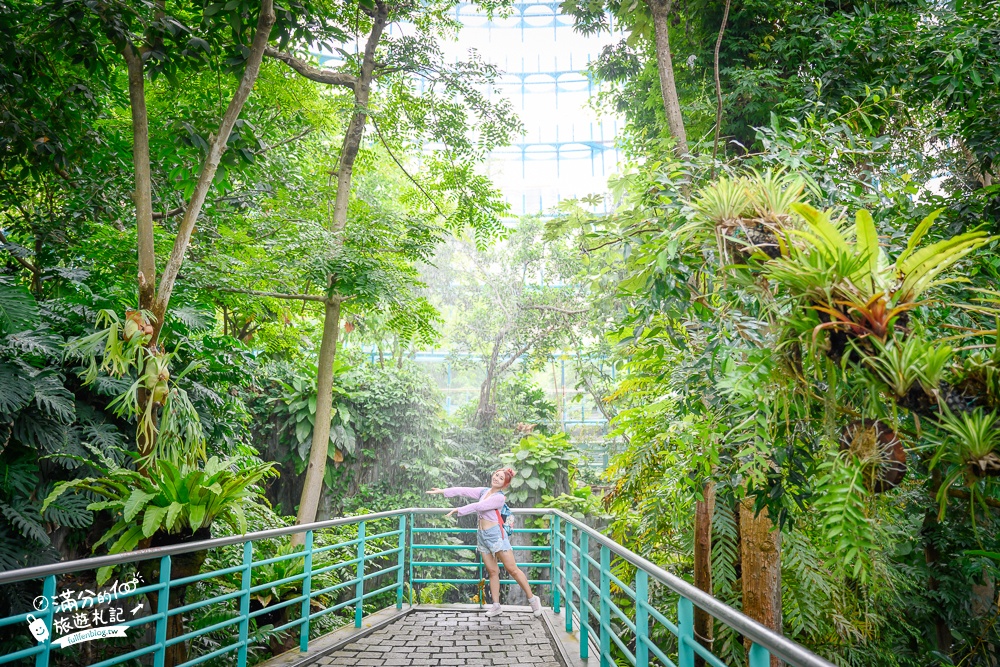 台中植物園【國立自然科學博物館植物園】台中最美熱帶雨林.巨無霸珠光鳳蝶好吸睛,城市裡的亞馬遜河!