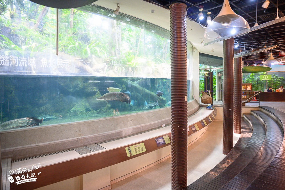 台中植物園【國立自然科學博物館植物園】台中最美熱帶雨林.巨無霸珠光鳳蝶好吸睛,城市裡的亞馬遜河!