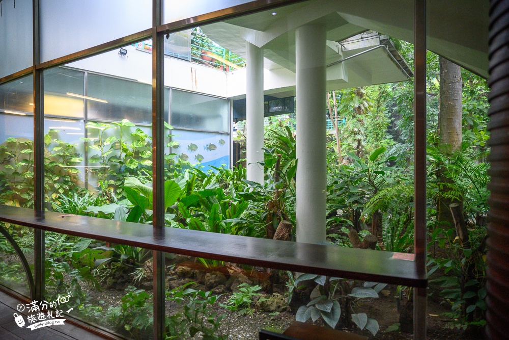 台中植物園【國立自然科學博物館植物園】台中最美熱帶雨林.巨無霸珠光鳳蝶好吸睛,城市裡的亞馬遜河!