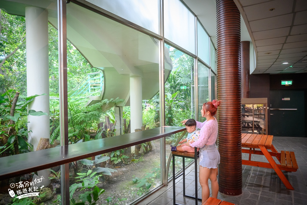 台中植物園【國立自然科學博物館植物園】台中最美熱帶雨林.巨無霸珠光鳳蝶好吸睛,城市裡的亞馬遜河!