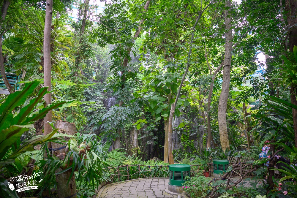 台中植物園【國立自然科學博物館植物園】台中最美熱帶雨林.巨無霸珠光鳳蝶好吸睛,城市裡的亞馬遜河!