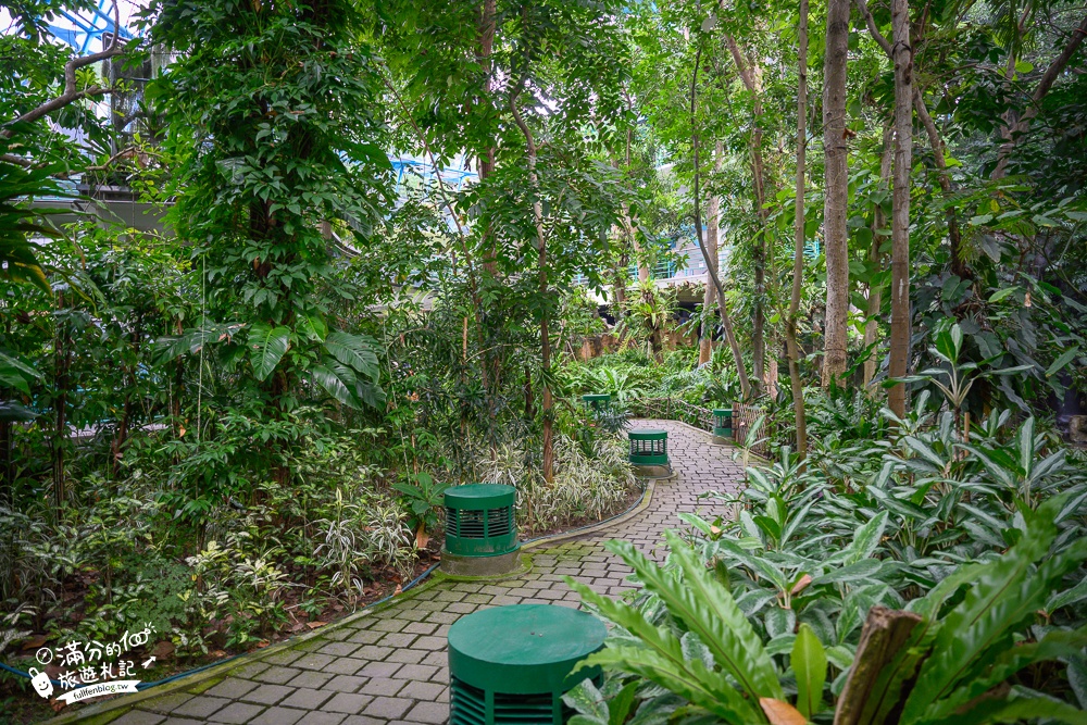 台中植物園【國立自然科學博物館植物園】台中最美熱帶雨林.巨無霸珠光鳳蝶好吸睛,城市裡的亞馬遜河!