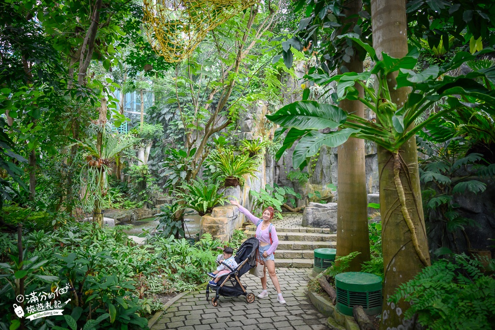 台中植物園【國立自然科學博物館植物園】台中最美熱帶雨林.巨無霸珠光鳳蝶好吸睛,城市裡的亞馬遜河!