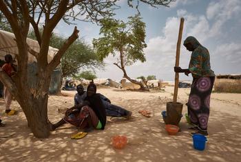 在尼日尔蒂拉贝里区瓦拉姆，难民妇女在一个流离失所点准备食物。