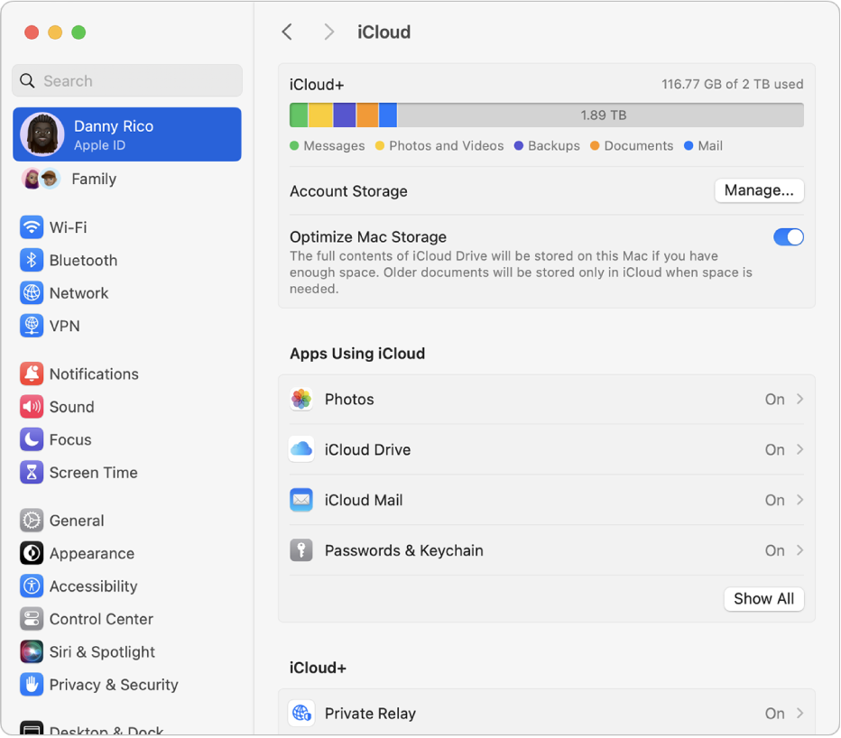 The System Settings window with iCloud features selected.