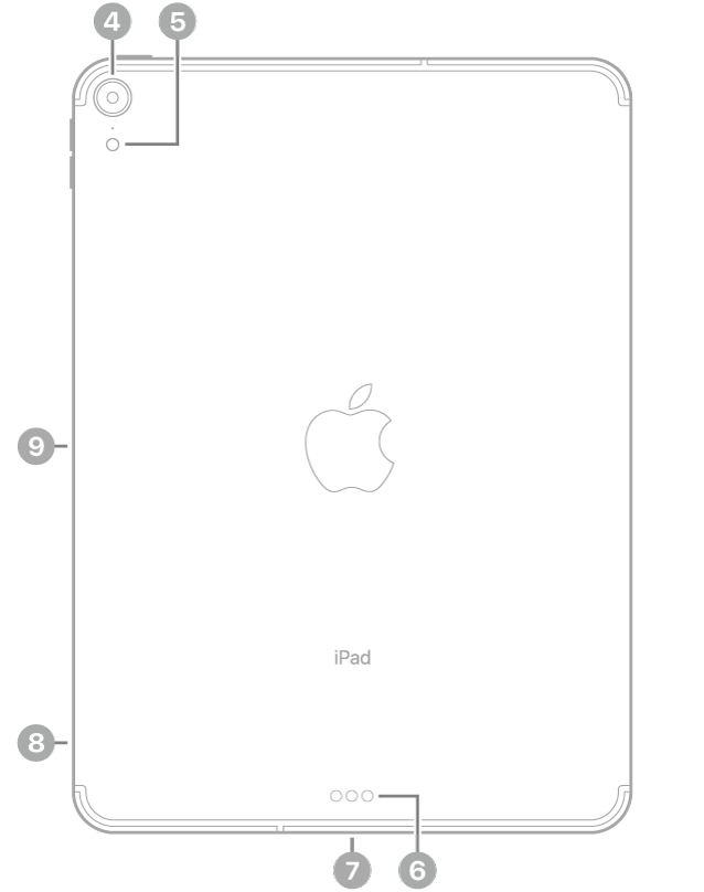 왼쪽 상단의 후면 카메라 및 플래시, 하단 중앙의 Smart Connector 및 USB-C 커넥터, 왼쪽 하단의 SIM 트레이(Wi-Fi + Cellular), 왼쪽의 Apple Pencil 마그네틱 커넥터 설명이 있는 iPad Pro 후면.