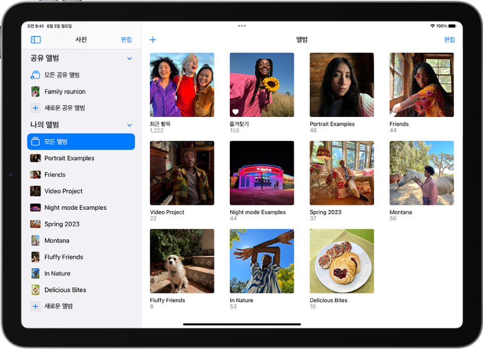 화면 왼쪽에 사진 앱 사이드바가 열림. 나의 앨범 아래에 모든 앨범이라는 항목이 선택되어 있음. 나머지 iPad 화면에는 앨범의 축소판이 격자로 표시됨.